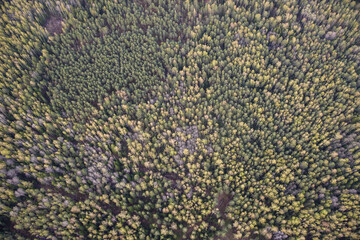 close up of a carpet