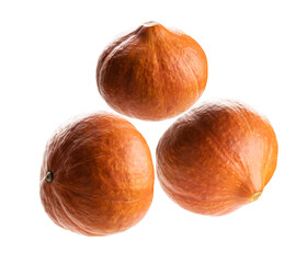 Ripe pumpkins levitate on a white background
