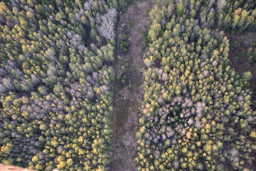 close up of a carpet