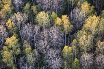 autumn in the mountains