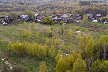 lavender field in region