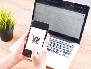 Online Shopping Website on Laptop.
