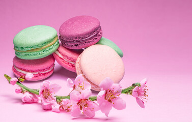 Colorful sweet macarons or macaroons, different flavored cookies on pink background with blooming cherry branch near them.