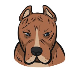 Fototapeta premium American pit-bull dog face cartoon vector illustration