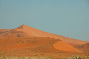 Fototapeta na wymiar Sand desert in Namib