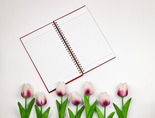 flat lay of opened notebook or diary  on white background with tulips decoration.