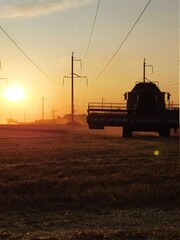 Fototapeta premium harvesting