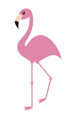 a beautiful flamingo in the wild and standing on its profile