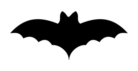 Bat with its black shadow flying in the air for the Halloween party