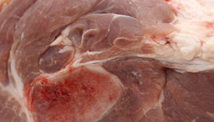 Piece of fresh pork meat