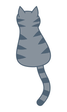 a gray cat from the back with stripe on the fur