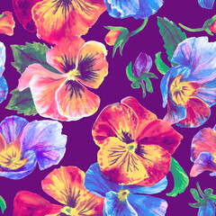 Watercolor floral pattern. Beautiful pansies isolated on violet background