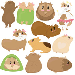 big set, cute funny guinea pigs of different colors stand, lie, sleep, cute home rodent, vector illustration in flat style