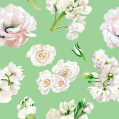 Pastel colors, floral pattern, white roses isolated on light green background. Watercolor painting