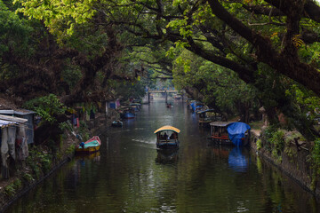 house boats in alappuzha backwaters 