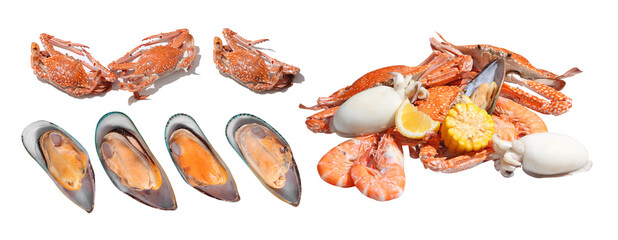 Boiled seafood on white background
