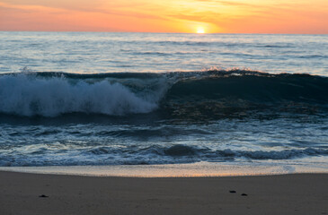 sunset on the beach with small running turtles heading to the ocean just after their birth 