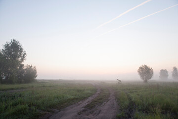 Fototapeta na wymiar Country road at sunrise. Dawn in a spring meadow.