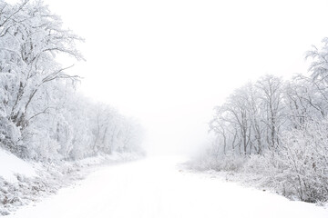 Fototapeta premium Snowy road in winter forest