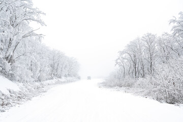 Car on snowy foggy road in winter forest