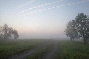 Country road at sunrise. Dawn in a spring meadow.