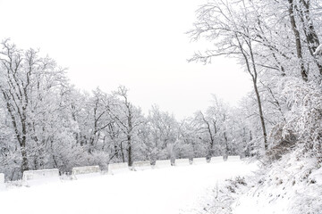 Snowy mountain road in winter forest