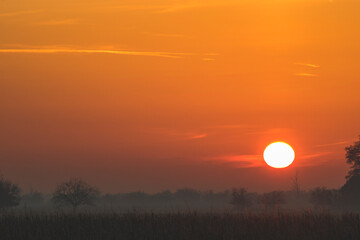Sunrise over the field