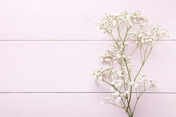 Few twigs of Gypsophila flowers lay on light pink wooden background.  Top view with copy space. Flat lay