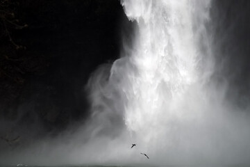 Geese Flying by Snoqualmie Falls