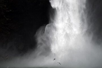 Geese Flying by Snoqualmie Falls
