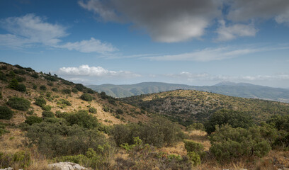 Fototapeta na wymiar Mediterranean forest in Font Roja Natural Park, province of Alicante, Spain