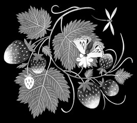 Hand drawn strawberry ornament isolated on black background. Monochrome art painting