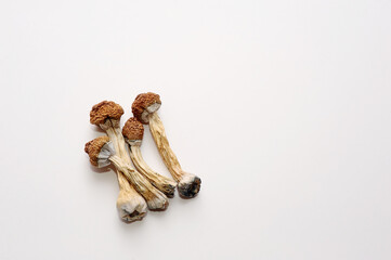 Microdosing concept. Dry psilocybin mushrooms on white background. Psychedelic, mind-blowing, magic mushroom. Medical use.