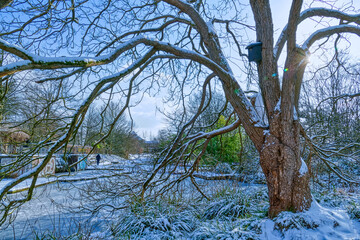 Beliebter Stadtgarten in Düsseldorf im Winter