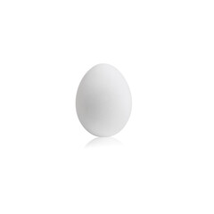 Fototapeta na wymiar one white egg on white background