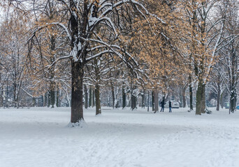 Novi Sad, Serbia - January 11, 2017: City park in the center of Novi Sad under the snow, before the New Year holidays 2017. 