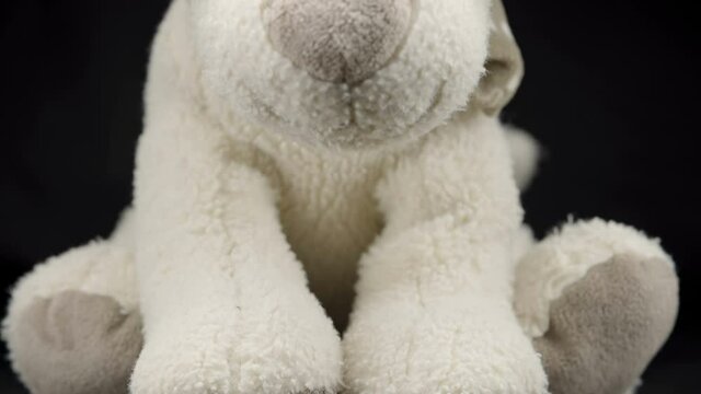 Bottom to top view of the white dog stuff toy wearing black sunglasses