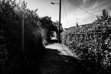 Black and white walkway