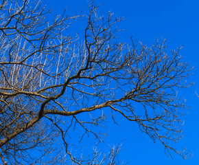 Sunny weather at Normafa over Budapest