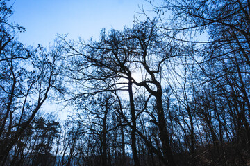 Sunny weather at Normafa over Budapest