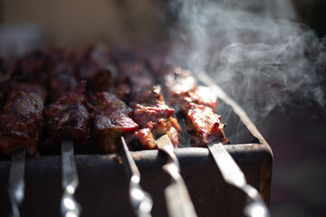 Fried kebab on a homemade grill, with smoke, with a shallow depth of field