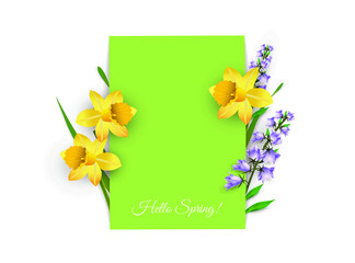 Spring flowers on white and green background with the text Hello Spring. Vector illustration for making design, cards, website, labels, banners, more. 