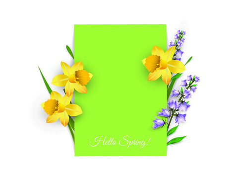 Spring flowers on white and green background with the text Hello Spring. Vector illustration for making design, cards, website, labels, banners, more. 
