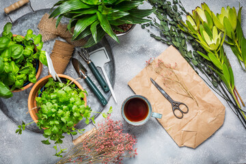 Planning your herb garden, patio and replanting of herbs and indoor  plants. Cup od tea with garden...