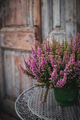 A bouquet of heather in a green vase on a metal forged table near to an vuntage door in the garden center 