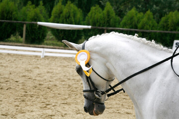 Unknown contestant rides at dressage horse event in riding ground