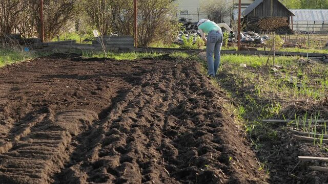 Slow motion female caucasian gardener with a rake flattens the soil on spring day, ecological ways to prepare the land for planting on small farms, crane shot.