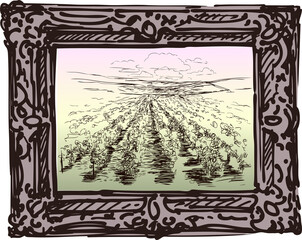 Freehand drawing of landscape with vine field in picture frame