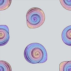 Seamless pattern of drawn colorful spiral seashells
