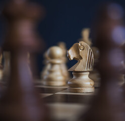 Close up focused wooden chess Knight © Dani